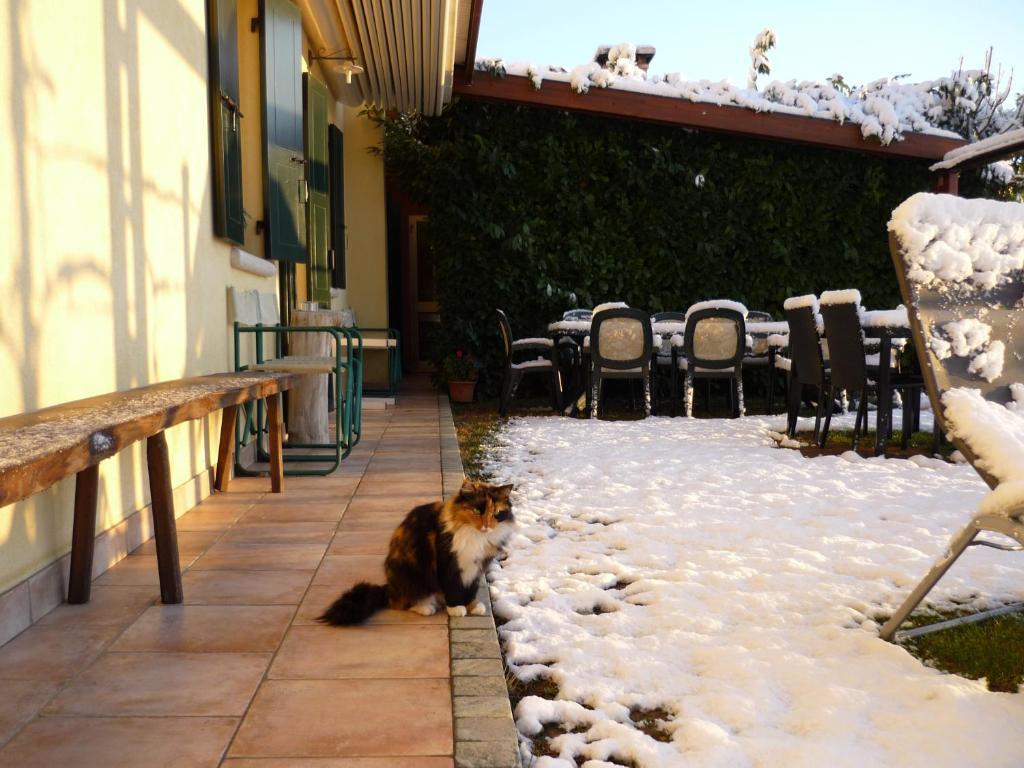 Sant'Andrea Agriturismo Con Cantina Martignago Vignaioli Asolo Prosecco Docg Wines Maser Dış mekan fotoğraf