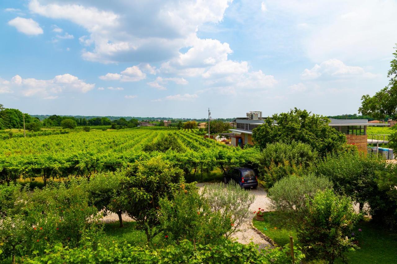 Sant'Andrea Agriturismo Con Cantina Martignago Vignaioli Asolo Prosecco Docg Wines Maser Dış mekan fotoğraf